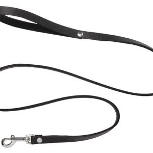 4 FT LEATHER LEASH