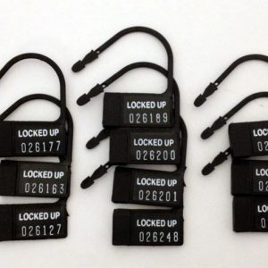 CHASTITY 10 PACK ONE TIME USE PLASTIC LOCKS