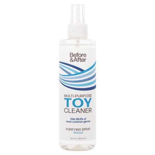 CEBAA165008beforeandafterspraytoycleaner8oz