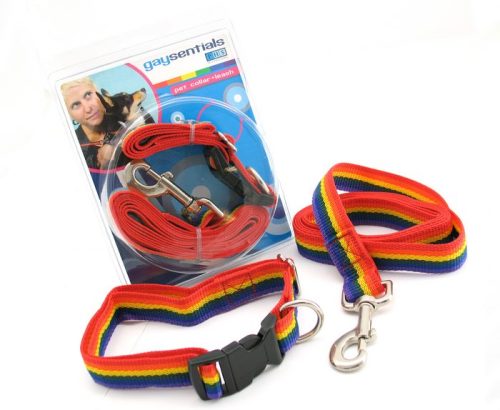 GS133largepetcollarleash