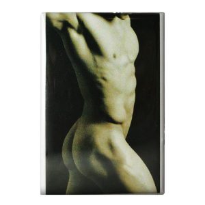 (D) GAYSENTIALS MAGNET PACK B