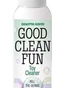 GOOD CLEAN FUN EUCALYPTUS 2 OZ CLEANER