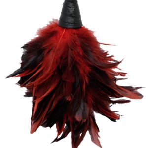 FETISH FANTASY FRISKY FEATHER DUSTER RED