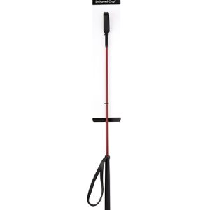 SEX & MISCHIEF ENCHANTED CROP