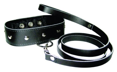 SS43202leathercollarleashproduct