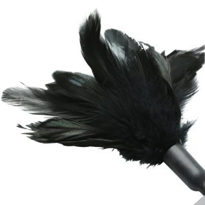 STARBURST FEATHER BLACK