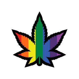 RAINBOW MARIJUANA LEAF PIN (NET)