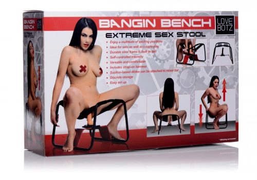 XRAF228baginbenchsexstool