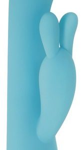 EVOLVED AQUA BUNNY VIBE