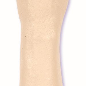 THE HAND 16IN FLESH CD