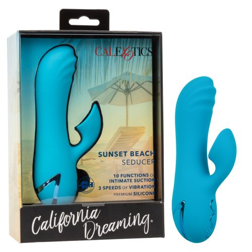 SE434926californiadreamingsunsetbeachseducervibrator