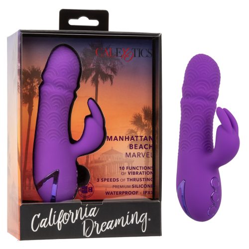 SE434928californiadreamingmanhattanbeachmarvelvibrator