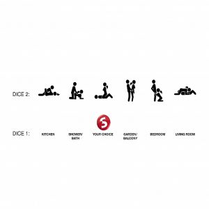 TAKE THE GAMBLE SEX DICE