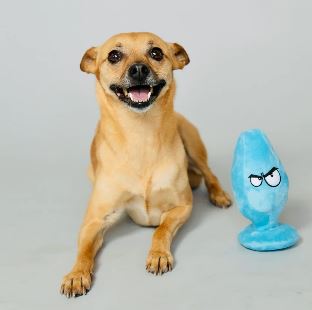 MCRUFF-3
